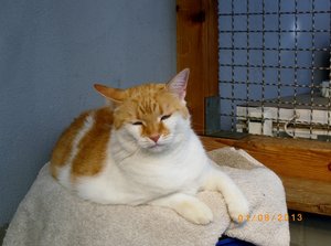 IMGP2602 (1024x761).jpg