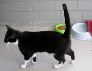 IMGP2460 (1024x788).jpg