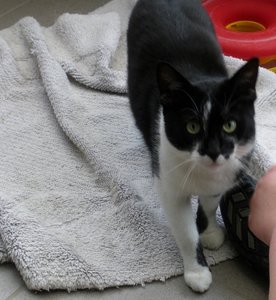 IMGP2450 (1024x768) (538x585).jpg