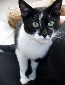 IMGP2457 (777x1024).jpg