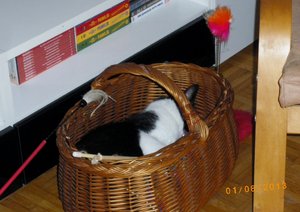 IMGP2604 (1024x723).jpg