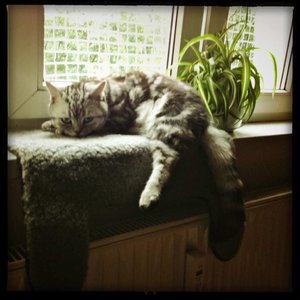 ImageUploadedByTapatalk 21375459962.880315.jpg