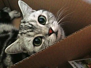 ImageUploadedByTapatalk 21375463156.883067.jpg