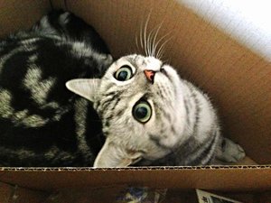 ImageUploadedByTapatalk 21375463193.021449.jpg