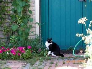 IMGP2605 (1024x759).jpg