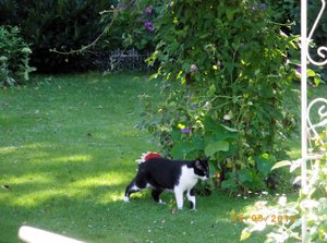 IMGP2606 (1024x761).jpg