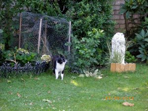 IMGP2607 (1024x768).jpg