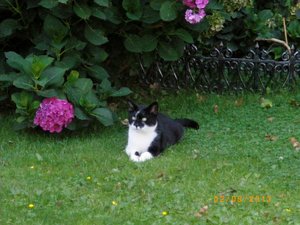 IMGP2608 (1024x768).jpg