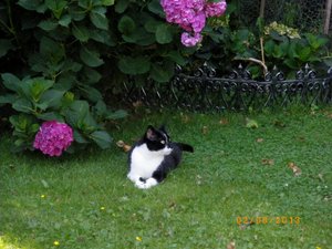 IMGP2609 (1024x768).jpg