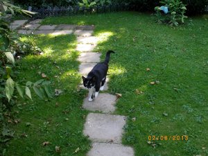 IMGP2611 (1024x768).jpg