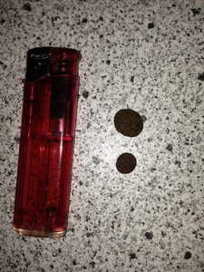 ImageUploadedByTapatalk 21375510326.783212.jpg