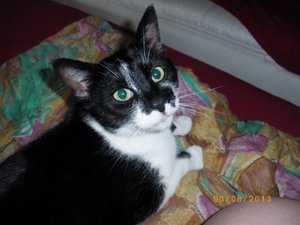 IMGP2617 (1024x768).jpg