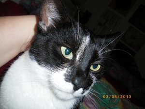 IMGP2618 (1024x767).jpg