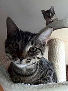 ImageUploadedByTapatalk 21375516692.464469.jpg