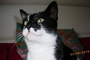 IMGP2620 (1024x679).jpg