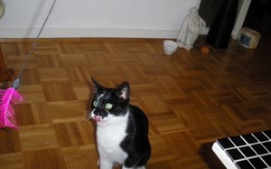 IMGP2623 (1024x636).jpg