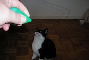 IMGP2625 (1024x692).jpg