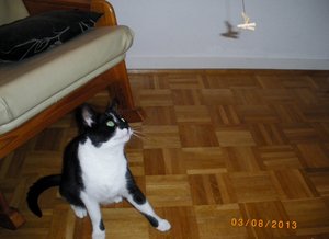 IMGP2628 (1024x743).jpg