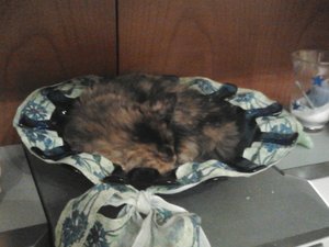 2013-07-31 23.11.20.jpg