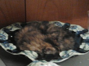 2013-07-31 23.11.09.jpg