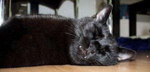 ImageUploadedByTapatalk 21375600073.371773.jpg