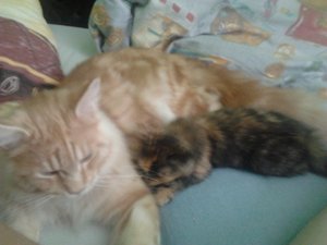 2013-08-03 10.11.26.jpg