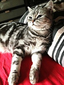 ImageUploadedByTapatalk 21375782203.136629.jpg