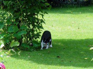 IMGP2649 (1004x742).jpg