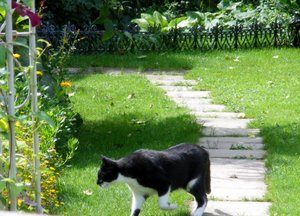 IMGP2654 (1024x735).jpg