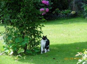 IMGP2655 (1024x755).jpg