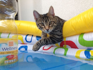 ImageUploadedByTapatalk 21375875693.967626.jpg