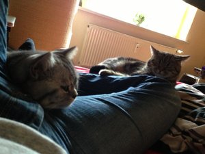 ImageUploadedByTapatalk 21375883533.899766.jpg