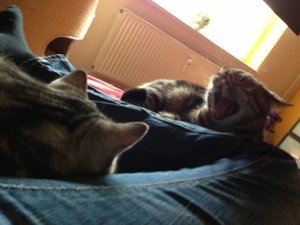 ImageUploadedByTapatalk 21375883549.414584.jpg