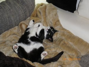 IMGP2685 (1024x768).jpg