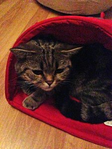 ImageUploadedByTapatalk 21375993797.288009.jpg