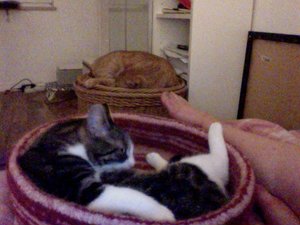 Foto am 09-08-2013 um 02.11 #2.jpg