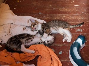 Kopie von _DSC0245-14.JPG