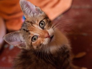 Kopie von _DSC0238-11.JPG