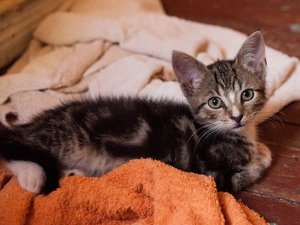 Kopie von _DSC0243-10.JPG