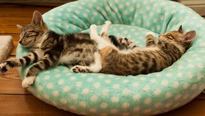 Kopie von _DSC0359-3.JPG