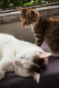 Kopie von _DSC0354-5.JPG