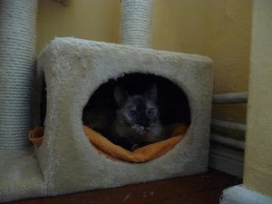 Kopie von P1050767.JPG