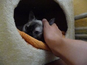 Kopie von P1050770.JPG