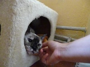 Kopie von P1050771.JPG