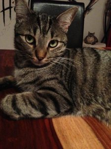 ImageUploadedByTapatalk 21376079735.604300.jpg