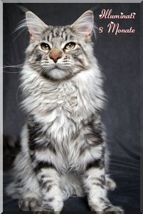 Illuminati 8 Monate - Kopie.JPG