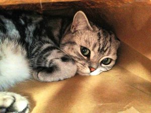 ImageUploadedByTapatalk 21376125728.416788.jpg