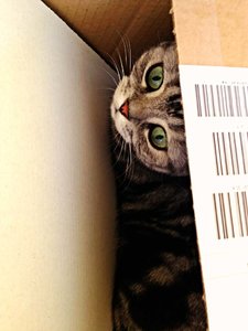 ImageUploadedByTapatalk 21376145109.003939.jpg