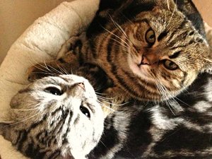 ImageUploadedByTapatalk 21376145192.198090.jpg