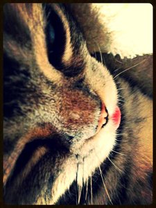 ImageUploadedByTapatalk 21376147752.764975.jpg